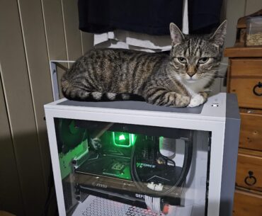 PC Killer? It's the only place she will sit when I'm gaming.