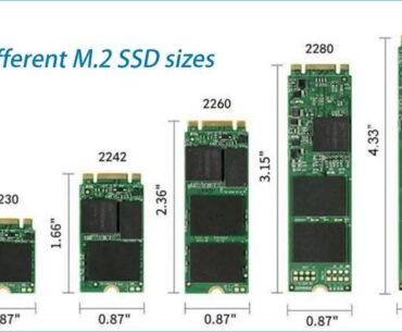 5 Type of M.2 SSD Size