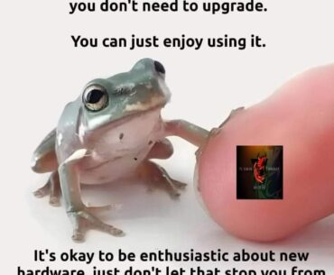 A good reminder from Mr Frog...