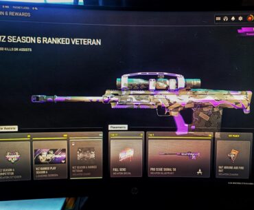 Why there is not even a single image or showcase video of this cool camo in the internet?