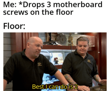 Where do they go?