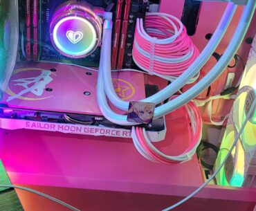 I build a pc for my wife (first in her life) and painted a gpu