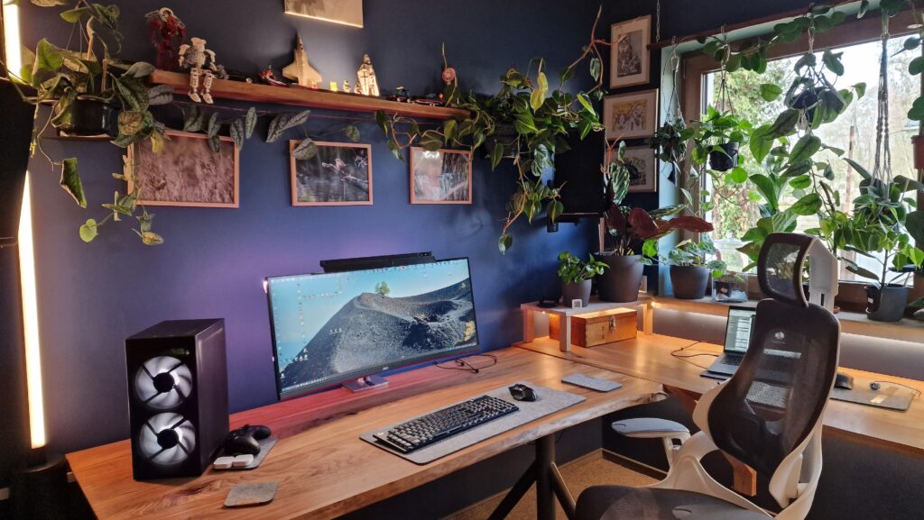 First real battlestation. Guess I like plants?