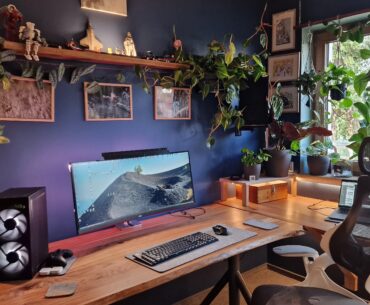 First real battlestation. Guess I like plants?