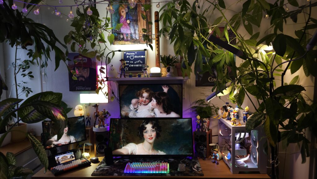 The Jumanji setup
