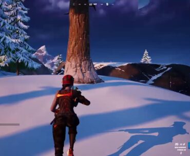 Fortnite battle royale first, person shooter, Grand theft auto. Games stuff