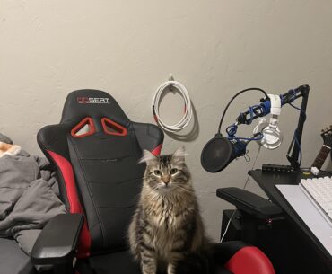 How much FPS he gettin?