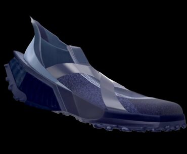 Cyberpunk inspired shoe