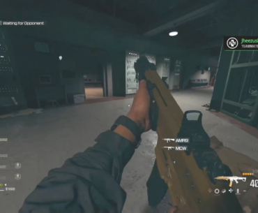 2 nice guns in gulag