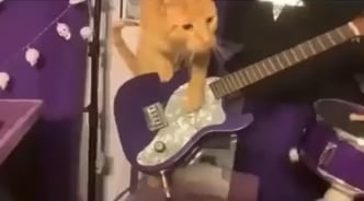 When you tune into royal blue radio