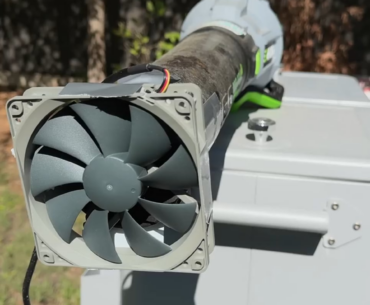Poor noctua