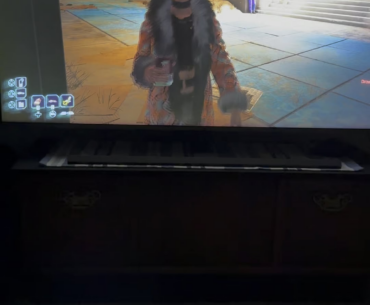 Ever had a random npc follow you and won’t leave you alone?