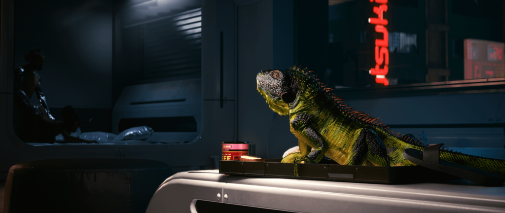 Yay my iguana finally grow up