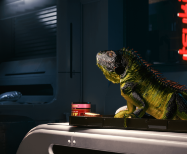 Yay my iguana finally grow up