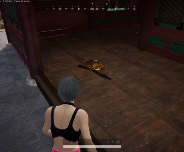 1v4 squadwipe, no dmg taken