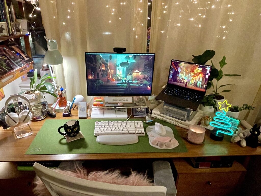A maximalist cat-lover’s battlestation
