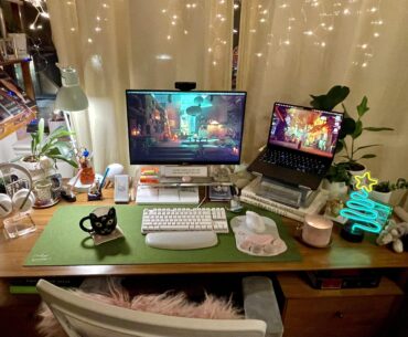 A maximalist cat-lover’s battlestation