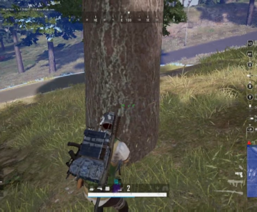 Stun Gun Chicken Dinner On Christmas Day 🎄💥🎁