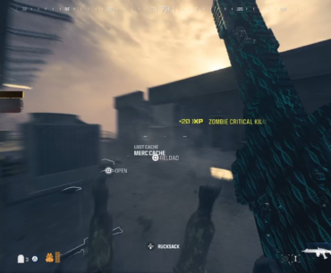 Does anybody know what I died to?