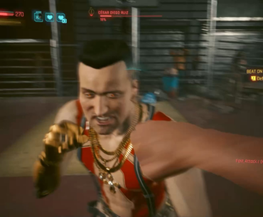 Longest fist fight of all time