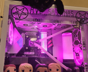 My cat on my pc.