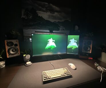 Happy Honda Days everybody. Swapped out my 24” portrait monitor for a 15” in an attempt to establish maximum minimalism. Need moar plants tho