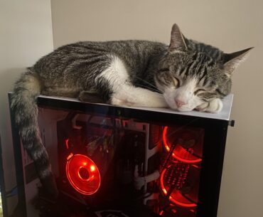 Best 4k 30-32” monitor under 500?