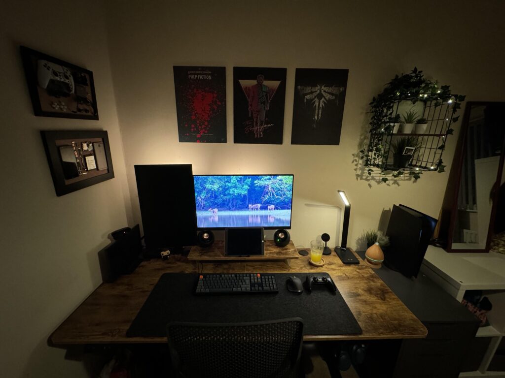 New standing desk set up