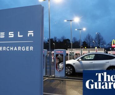 Tesla sues Sweden’s transport agency in escalation of strike row | Tesla | The Guardian