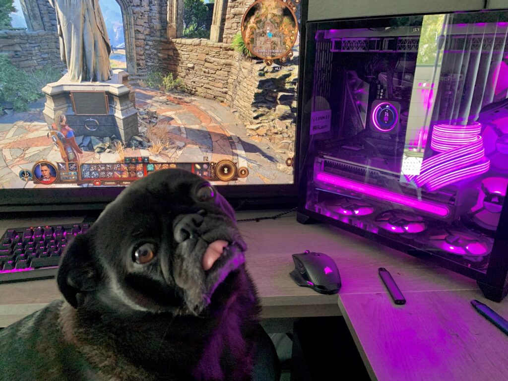 My gaming buddy!