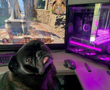 My gaming buddy!