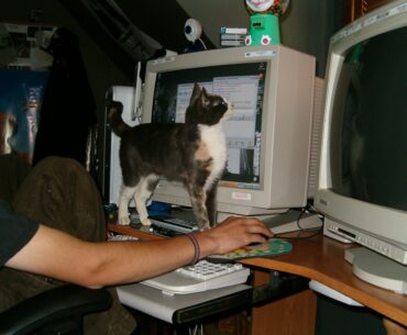 Alright, pcmasterrace, can you guess the year?