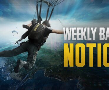 PUBG Weekly Ban Notice