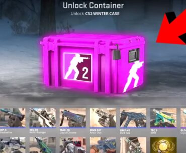 CS2 WINTER CASE LOOKS INSANE (CS2 Investing 2024) Counter Strike 2