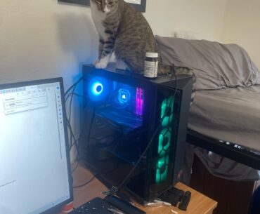 How do I keep my cat off my desktop?