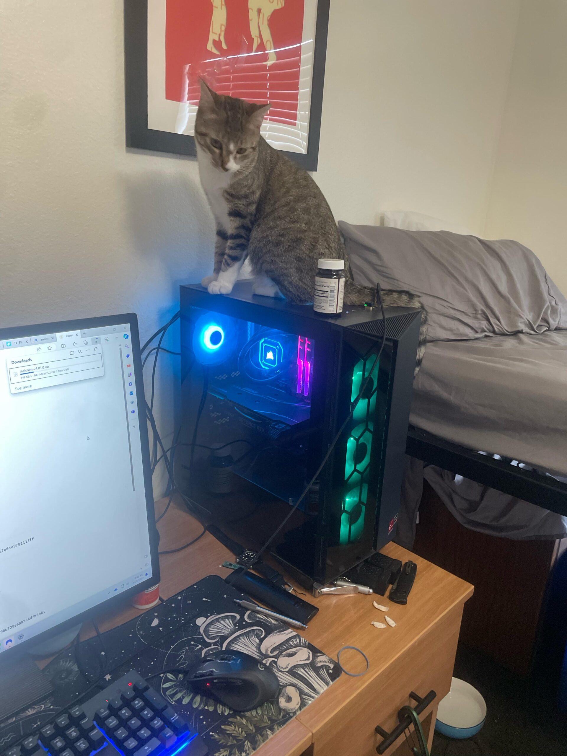 How do I keep my cat off my desktop? How do I keep my cat off my desktop?