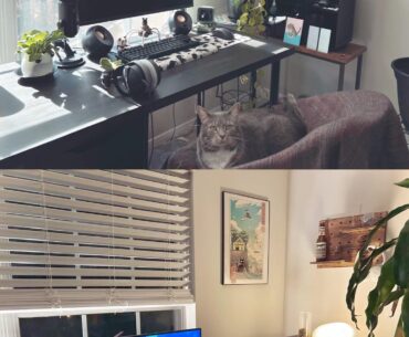 My cat’s set up