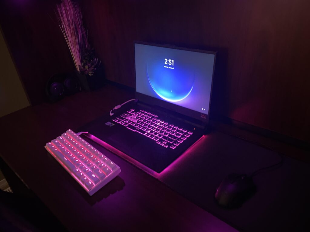 Should I buy a monitor?