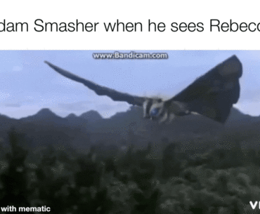 Squish