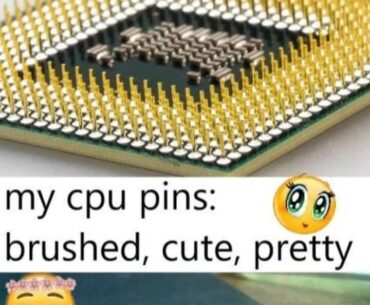 Mine is cuter