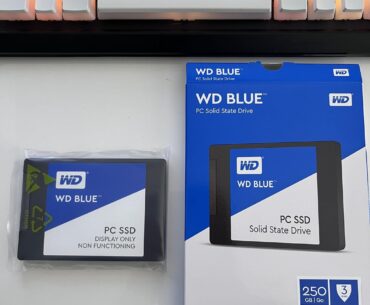 Somehow got a dummy SSD?