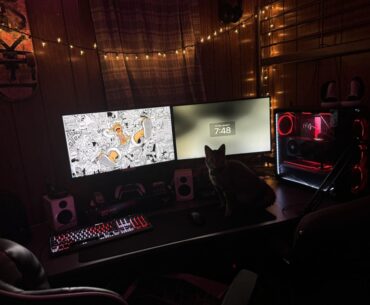 The setup