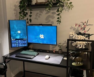 Dino paradise