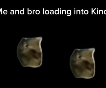 Average Kino der Toten experience: