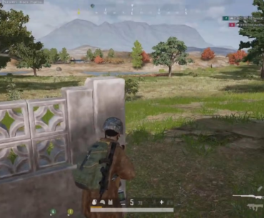396 m car kill