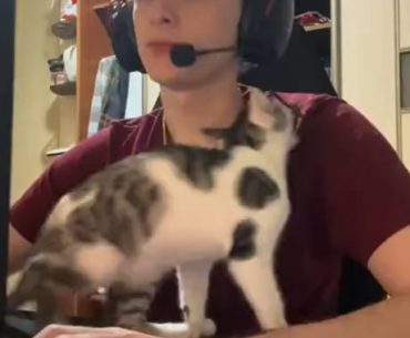 Every girl when the boyfriend is gaming and not giving her his full attention.