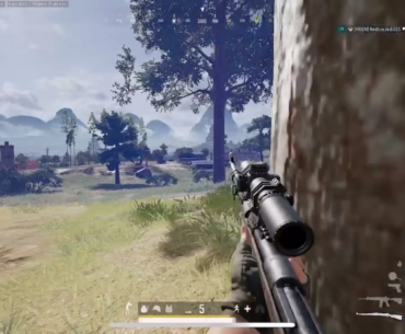 K9 at the edge of Blue Zone