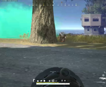 1200 damage win!