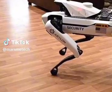 Security Robodog