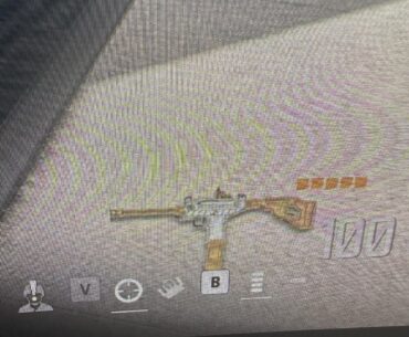 Anyone know what this Swarm loadout is?